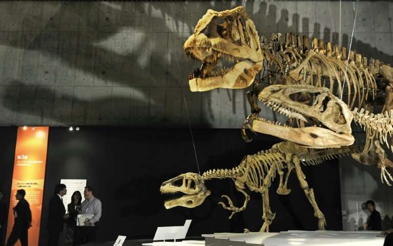 Dinosaur skeletons on display at Tokyo's Science Museum