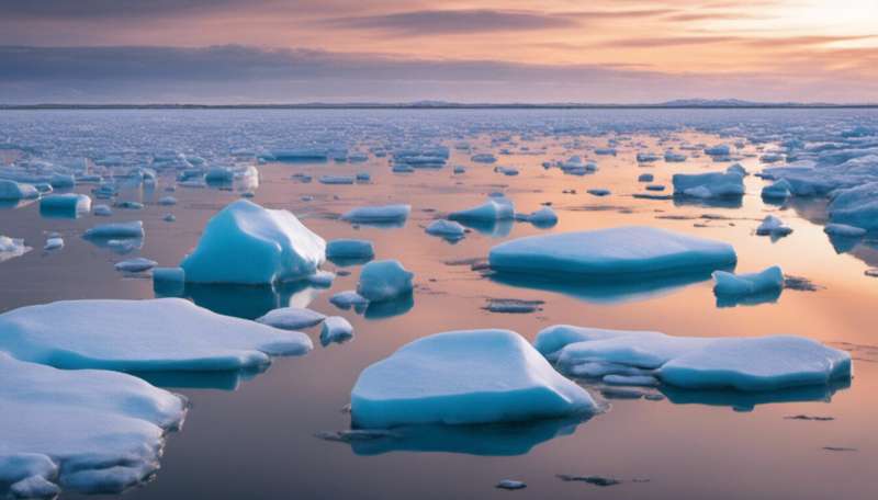 Disappearing sea ice is changing the whole ecosystem of the Arctic Ocean