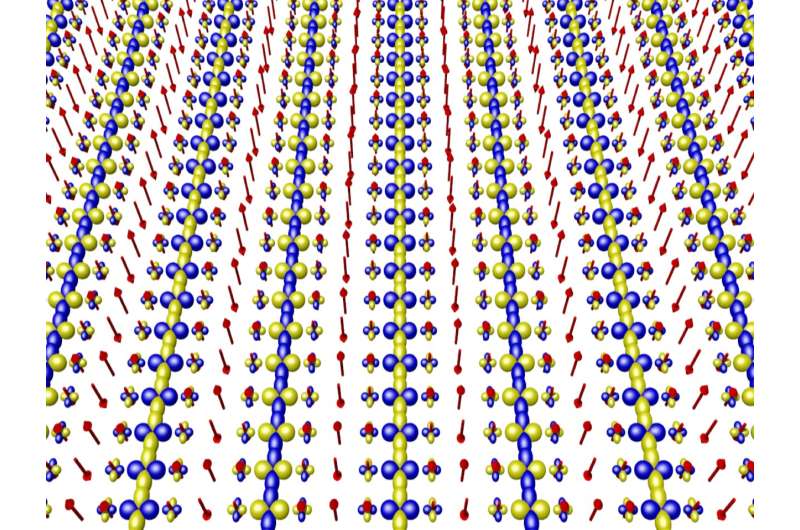 Discovery of field-induced pair density wave state in high temperature superconductors