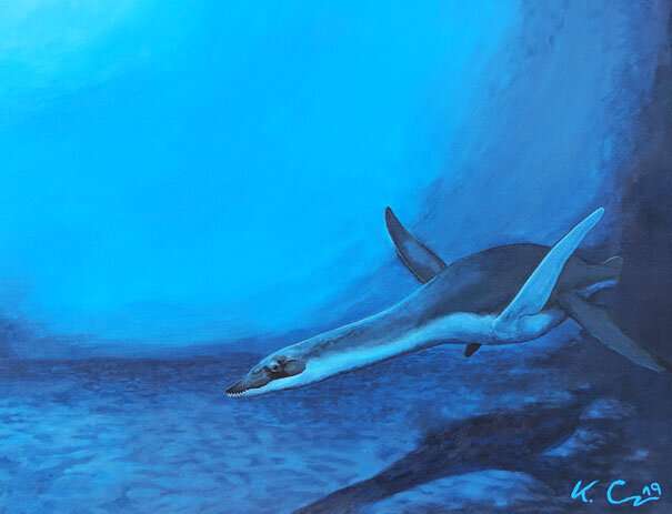 Divers of the past - Publication on plesiosaur research