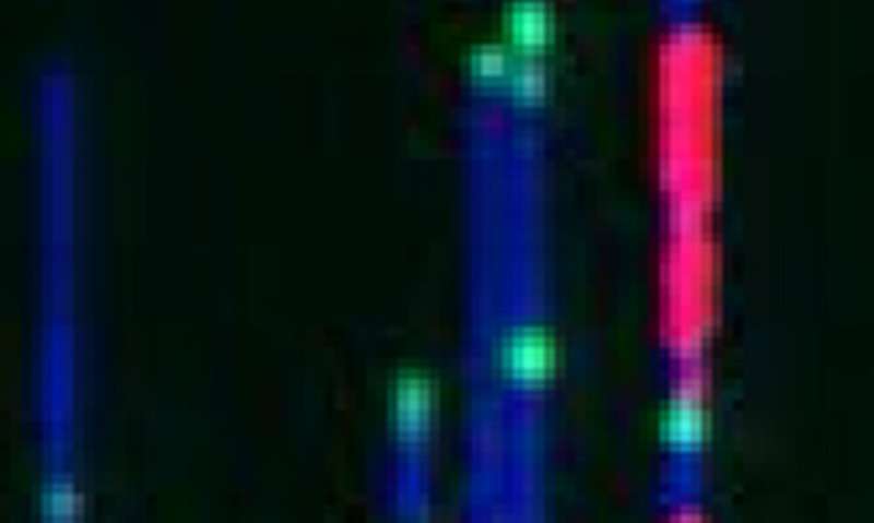 DNA as you've never seen it before, thanks to a new nanotechnology imaging method