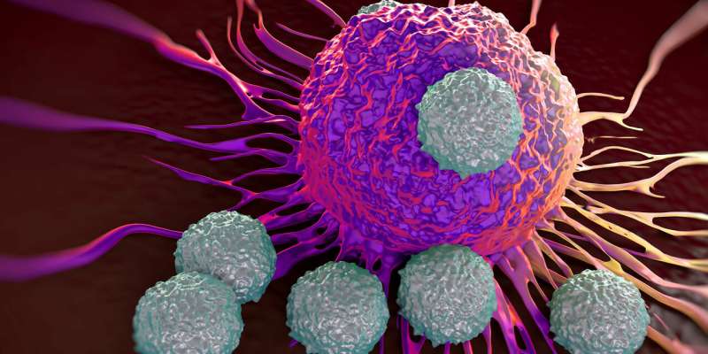 Doctors and molecular engineers working to enlist the immune system to fight cancer