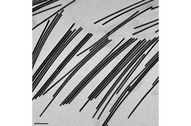 Dose of vitamin C helps gold nanowires grow