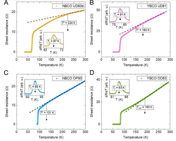 Dynamic charge density fluctuations pervading the phase diagram of a Cu-based high-Tc superconductor.