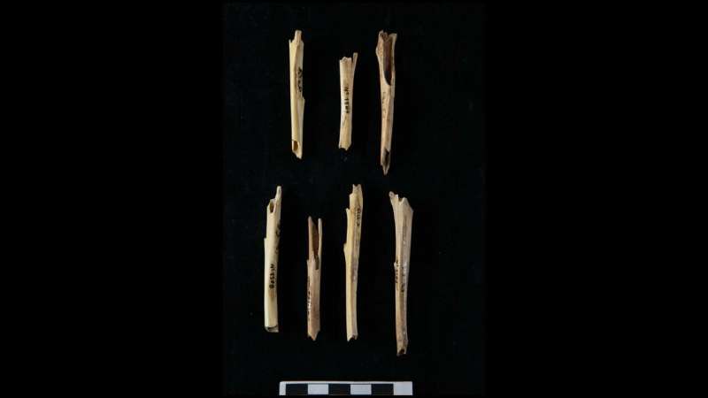 Early Europeans hunted hard-to-catch small game