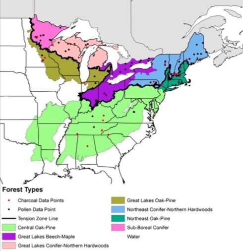 Eastern forests shaped more by Native Americans' burning than climate change