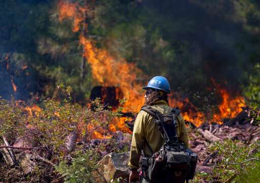 Efforts to clear fire-prone California forests face hurdles