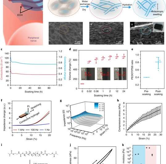 **Elastronics - Hydrogel-based microelectronics for localized low-voltage neuromodulation