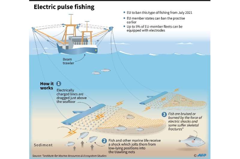 Electric pulse fishing