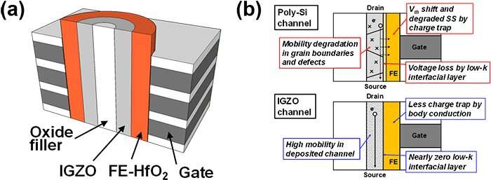 Emerging device by the fusion of IGZO and ferroelectric-HfO2
