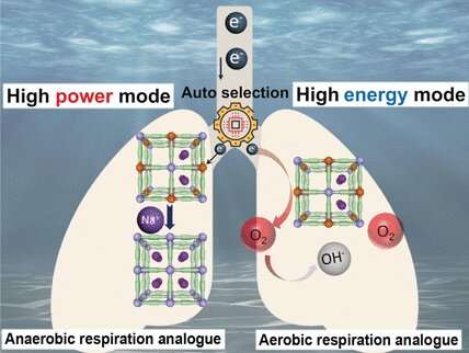Energy from seawater: Power generator autonomously switches between two functional modes