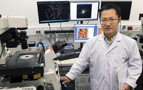 engineers unlock avenue for early cancer diagnosis
