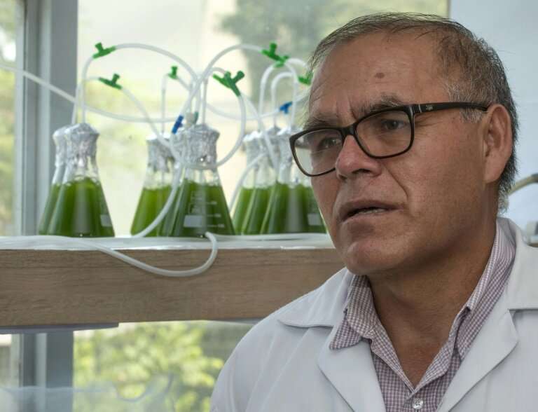 Enoc Jara says his team of scientists need funding to win the fight against mining waste pollution using algae