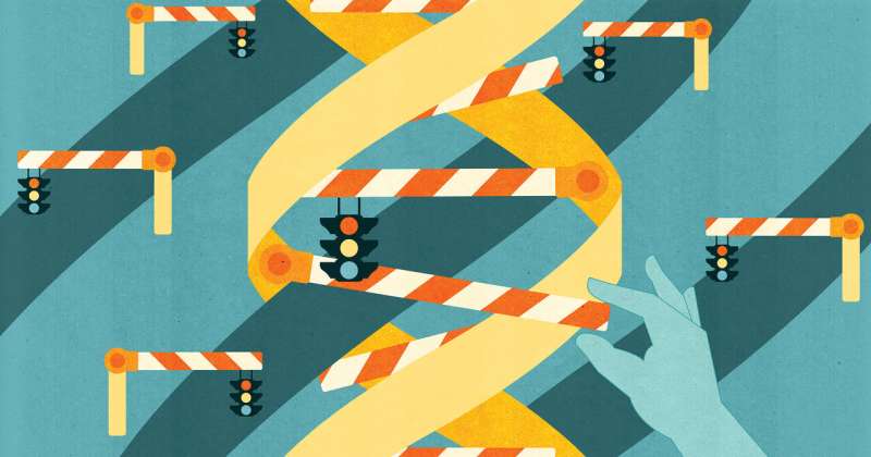 Epigenetics offers puzzling twists and turns, but also possible cancer treatments