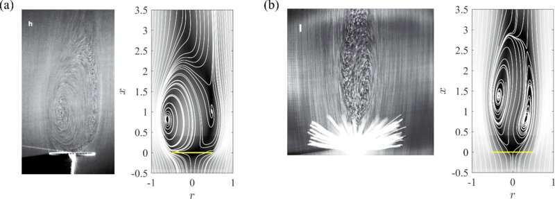 Equations from fluid dynamics used to find optimum arrangement of rods in dandelion pappus