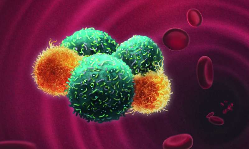 Escort service: The role of immune cells in the formation of metastases