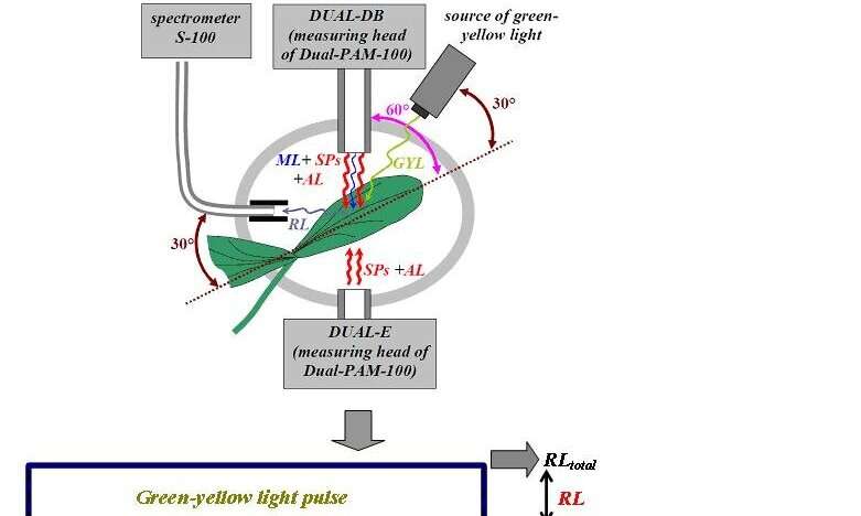 Essential tool for precision farming: new method for photochemical reflectance index measurement