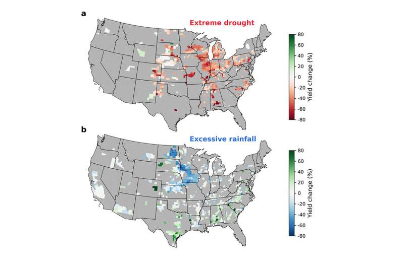 Excessive rainfall as damaging to corn yield as extreme heat, drought
