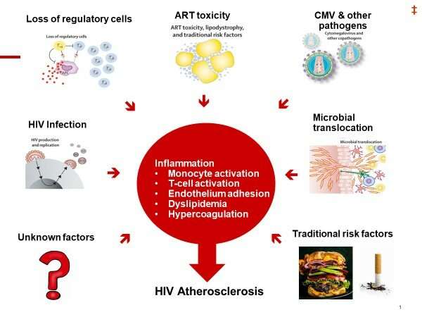Experts tackle major cardiovascular issues in treating patients with HIV