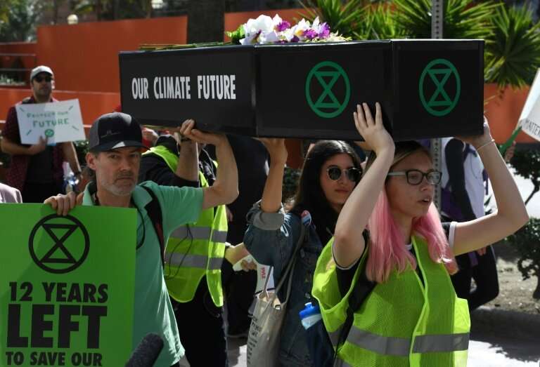 Extinction Rebellion activists say humanity should face the fact that a mass extinction event is under way on Earth, and that hu