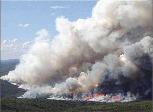 Extreme wildfires threaten to turn boreal forests from carbon sinks to carbon sources