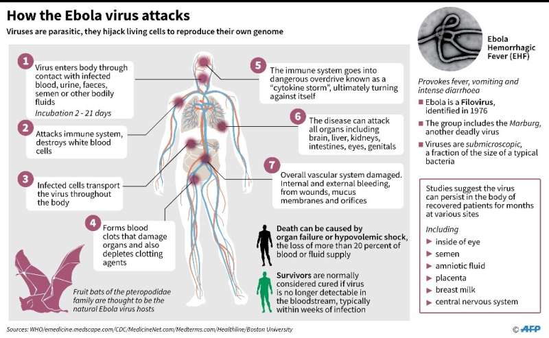 Factfile on Ebola