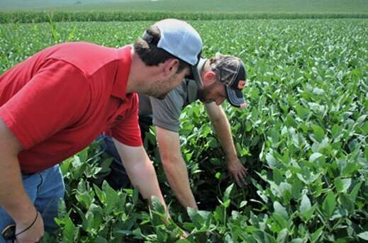 Farmer researchers reap more benefits than just increased crop production