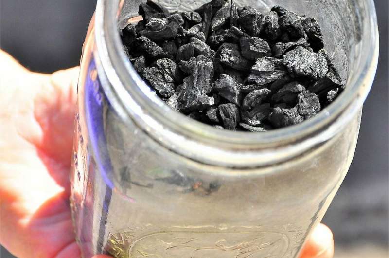 Feds, states can help biochar live up to its soil-saving potential