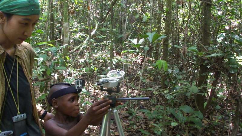 Finding one's way in the rainforest