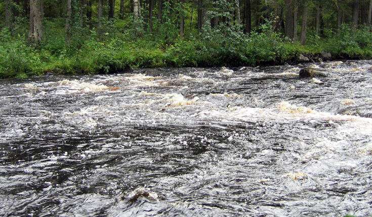 Finnish rivers transport carbon to the Baltic Sea at an increasing rate