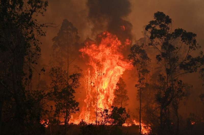 Fires raged in Bobin, with flames soaring 10 metres along the tree canopy