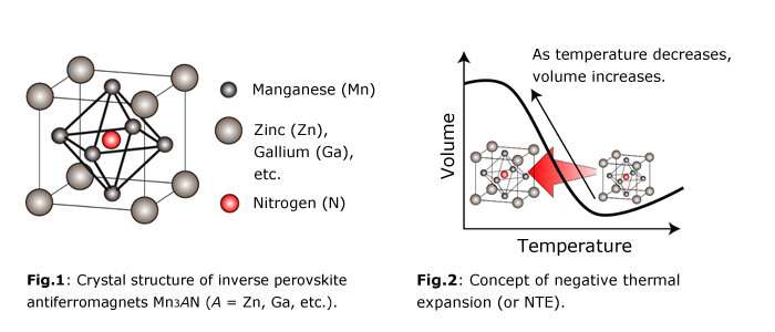 First explanation for mechanism behind magnetism-driven NTE derived in 40 years
