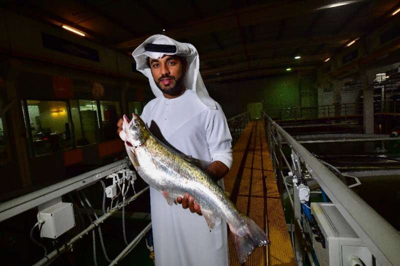 Fish Farm chief executive Bader bin Mubarak says &quot;no one could have imagined&quot; that salmon would be raised in the deser