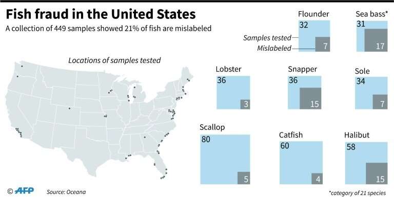 Fish fraud in the United States