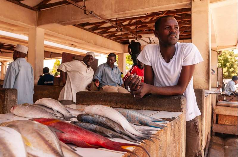 Fish Micronutrients 'slipping through the hands' of malnourished people