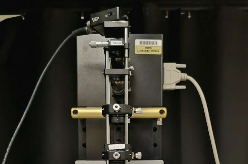 Flipping the view: New microscope offers options for drug discovery, safety
