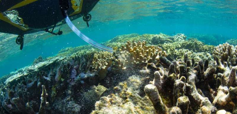 Floating nurseries and robotic fleet deliver coral babies to damaged parts of Great Barrier Reef