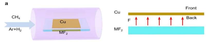Fluorine speeds up two-dimensional materials growth