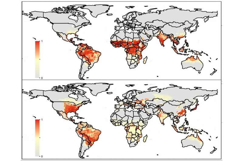 Forecasting mosquitoes' global spread