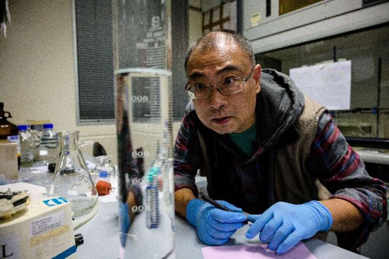 Former investment banker turned scientist Yan Wa-tat, 58, monitors the amount of chlorophyll in a sample of seawater taken from 