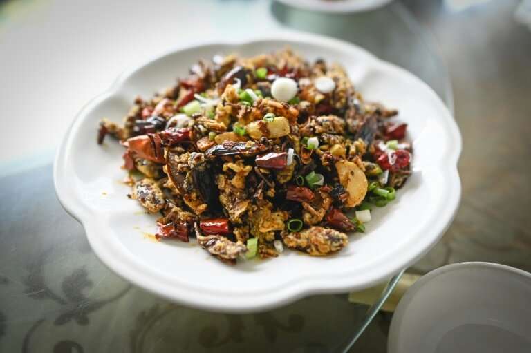 Fried cockroach in a spicy sauce has proved a surprise hit for a restaurant in Yibin, in China's southwestern Sichuan province