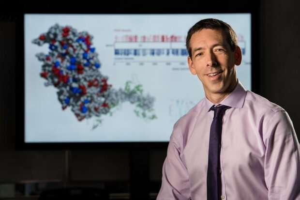 Gene networks reveal transition from healthy to failing heart