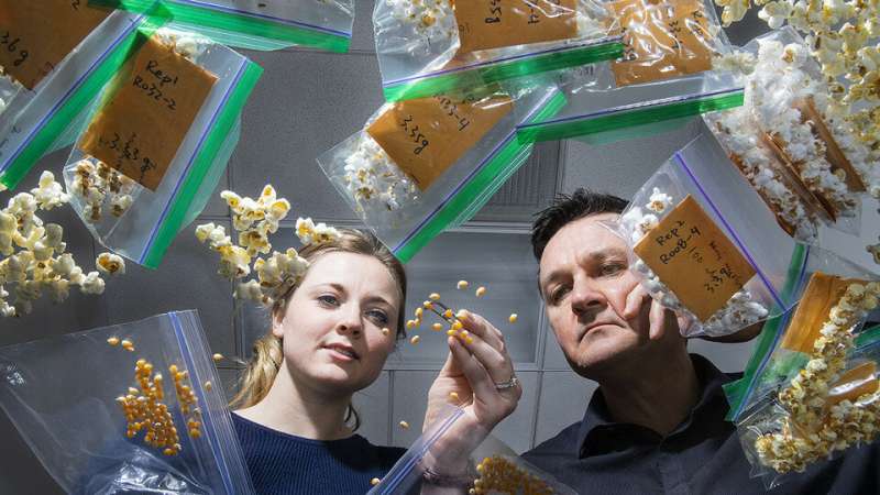 Genetics efforts enriching nutrition of popcorn, sorghum
