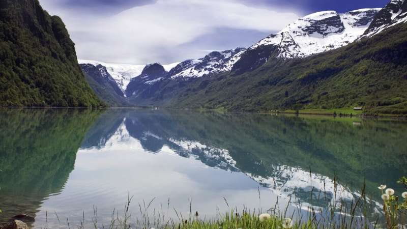 Genomics provides evidence of glacial refugia in Scandinavia