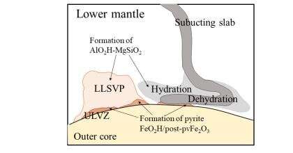 Geophysical observations reveal the water distribution and effect in Earth's mantle