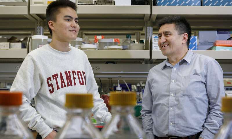 Germline gene therapy pioneer, teenage son make case for safe treatment