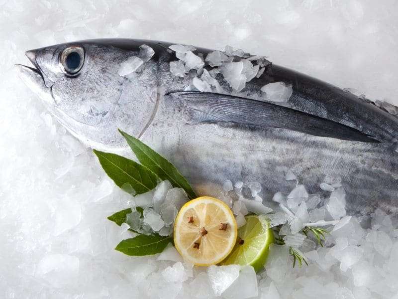 Get smart about storing seafood
