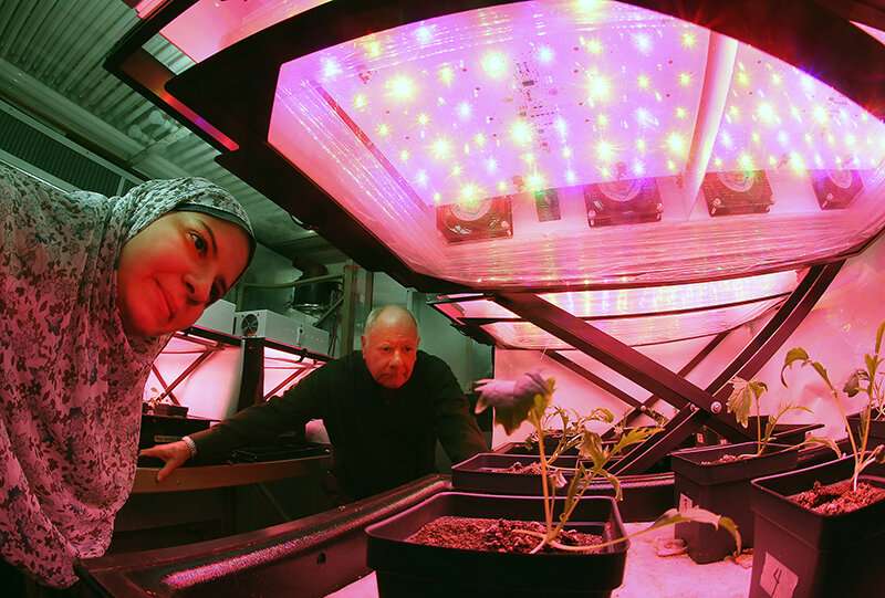Getting to Mars may happen only if we can grow food in space