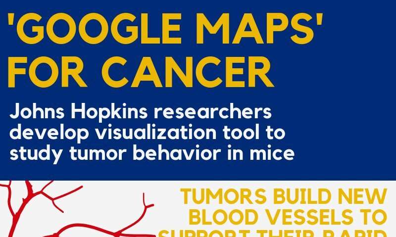 'Google Maps' for cancer: Image-based computer model reveals finer details of tumor blood flow