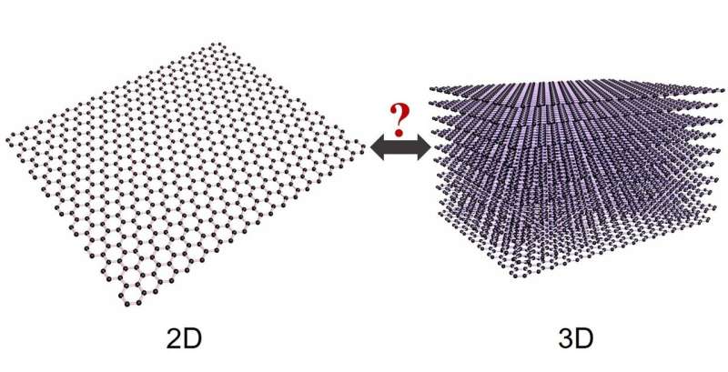 Graphene is 3D as well as 2D